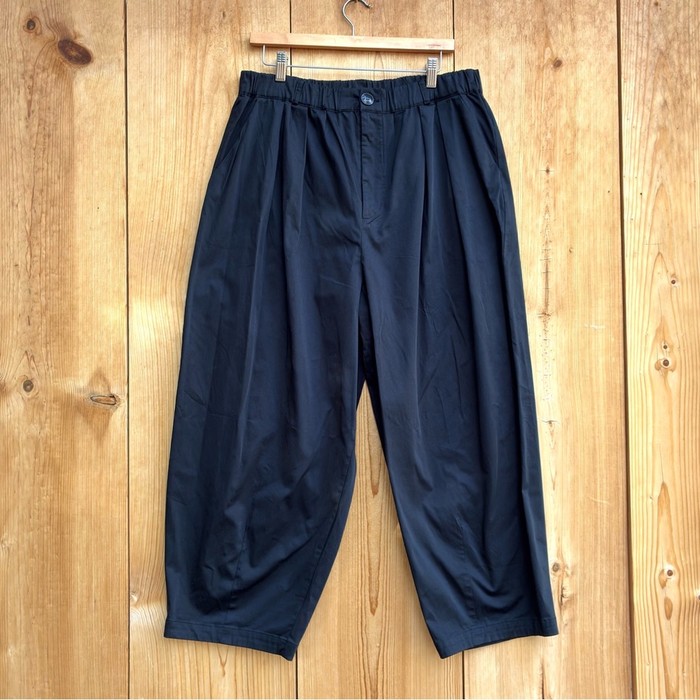 Maeve Curve Poplin Pants Sz Large - Picture 2 of 7